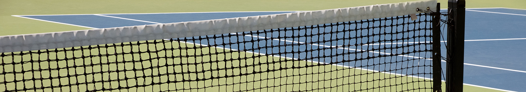 net on a tennis or pickleball court